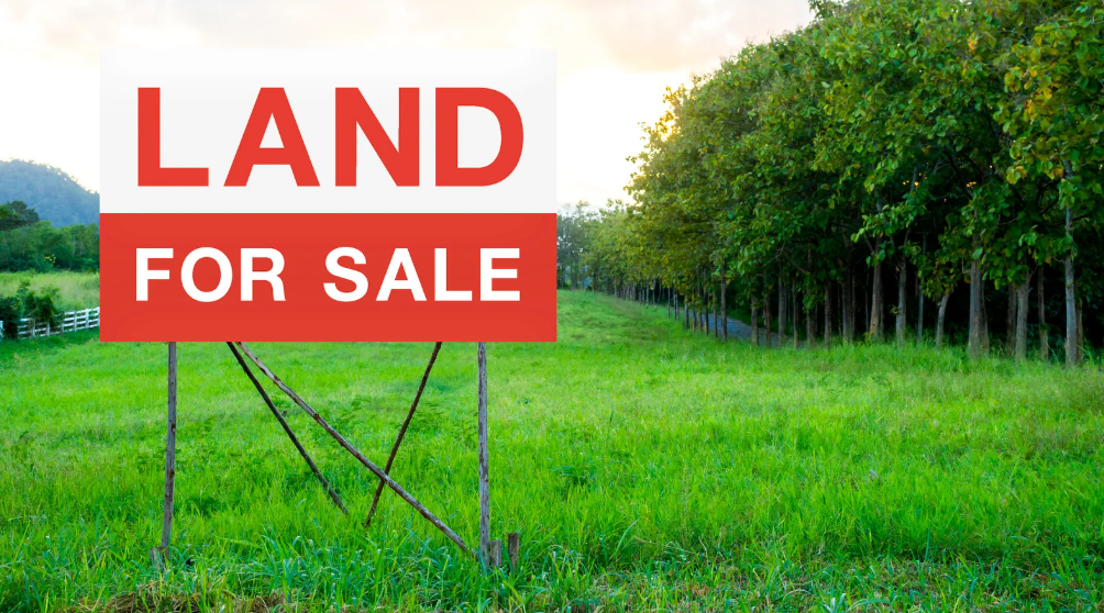 Sengketa Tanah: Langkah Hukum yang Tepat Sebelum Terlambat